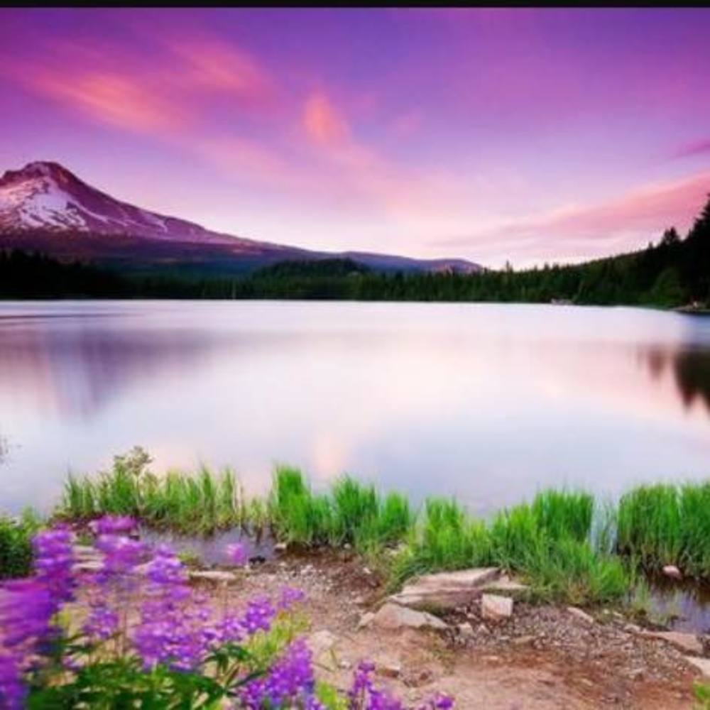 Meet your Posher, Nevaeh